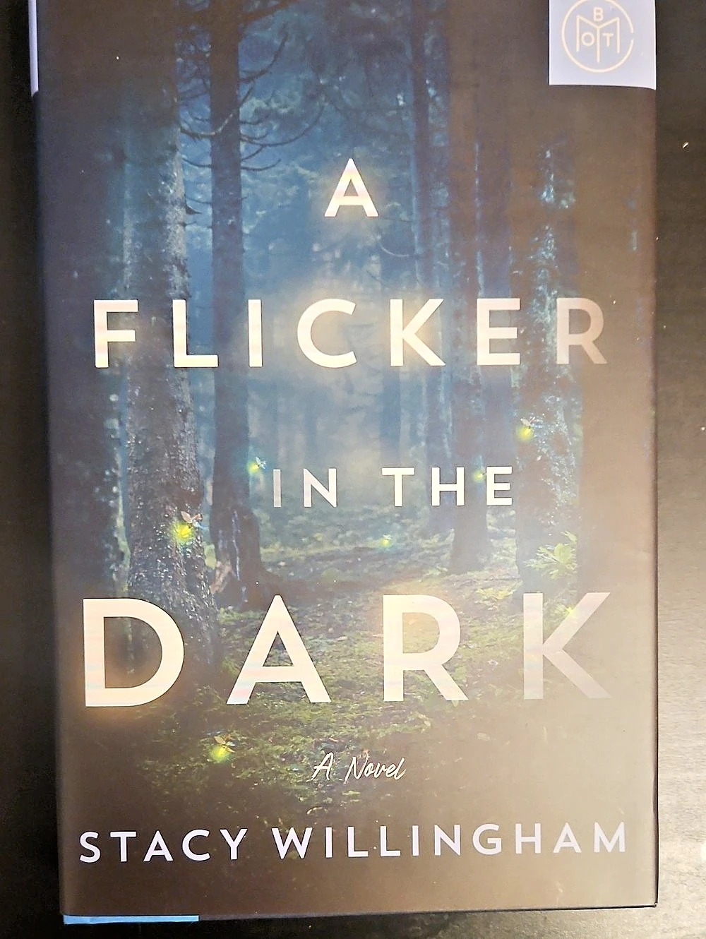 Stacy Willingham A Flicker in the Dark Hardcover Thriller Like New